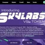 Vetter Skylabs (VSL) Coin Complete Detailed Review