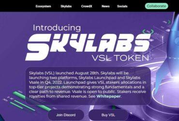 Vetter Skylabs (VSL) Coin Complete Detailed Review