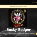 BuckyBadger (BUCKY) Coin Complete Detailed Review