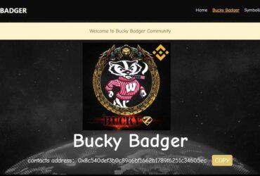 BuckyBadger (BUCKY) Coin Complete Detailed Review