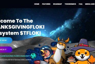 THANKSGIVING FLOKI (TFLOKI) Coin Complete Detailed Review