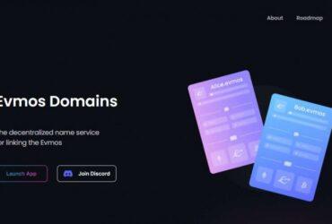 Evmos Domains (EVD) Coin Complete Detailed Review