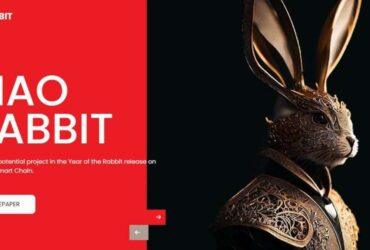 MaoRabbit (MAORABBIT) Coin Complete Detailed Review