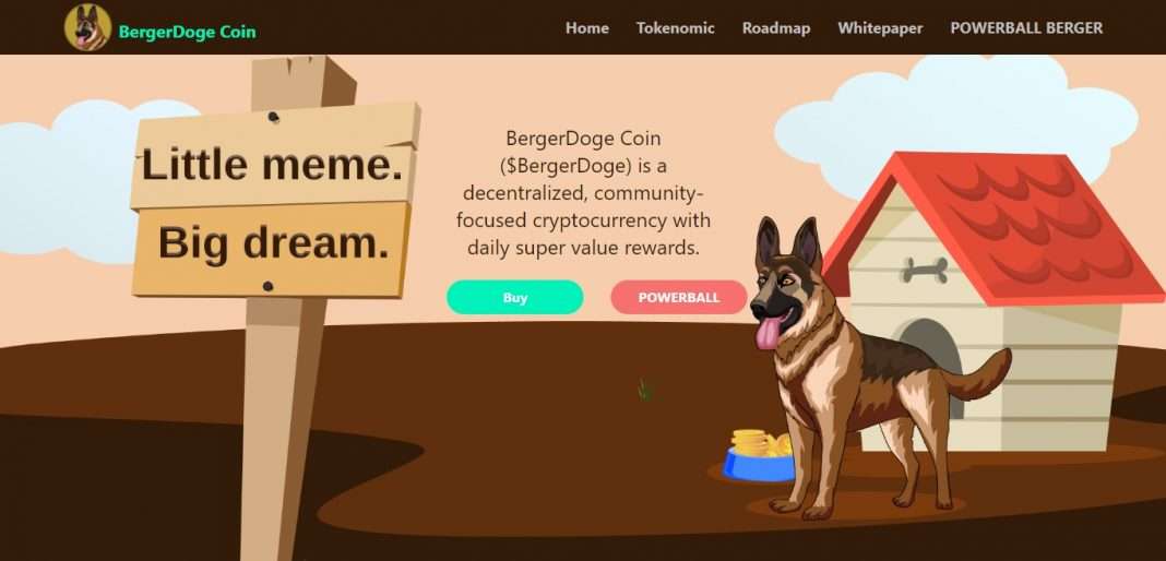 BergerDoge (BERGERDOGE) Coin Complete Detailed Review
