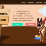 BergerDoge (BERGERDOGE) Coin Complete Detailed Review