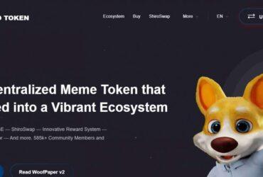 Shiro Inu (SHIR) Coin Complete Detailed Review