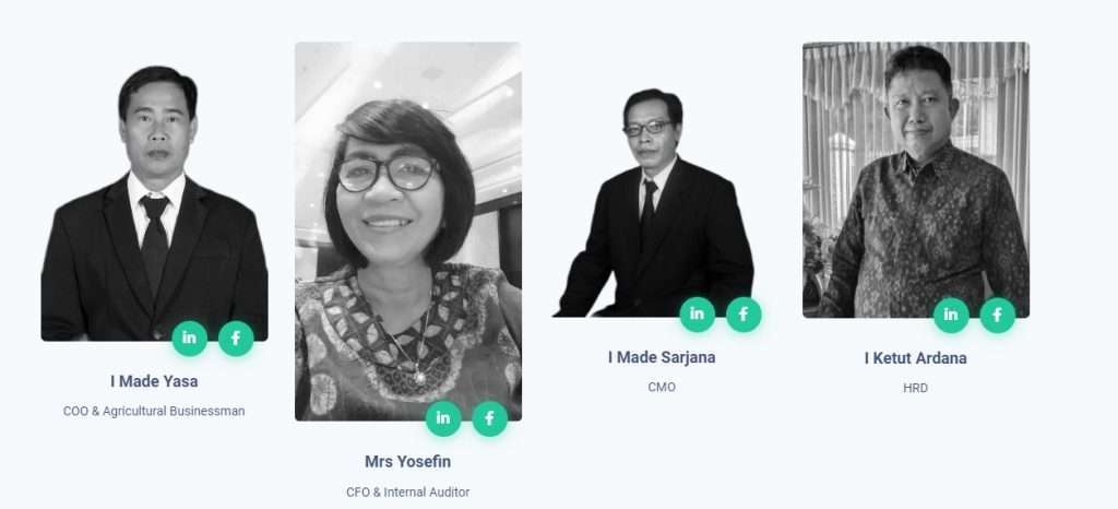 Vege Token Coin team