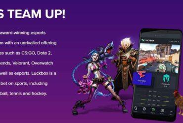 Luckbox Affiliate Program