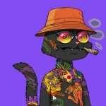 Doodles comes out with a "sequel": an article to understand the practicality of dynamic and customizable Doodles 2
