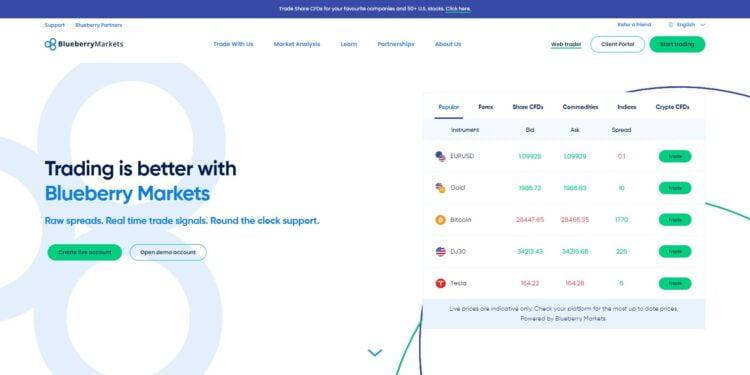 Bluberry Markets Forex Review : Is Good Forex Broker Or Not ? 2023 Pro Or Cons Latest Updated