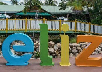 7 Best Forex Brokers In Belize