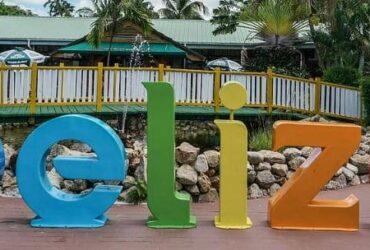 7 Best Forex Brokers In Belize