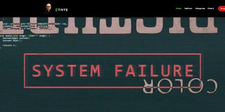 Tate (TATE) Review : Is It Good Or Bad Coin Read Our Article