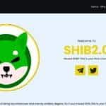 Shib2.0 (SHIB2.0) Review : Is It Good Or Bad Coin Read Our Article