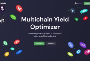 Beefy Finance (BIFI) Review : Is It Good Or Bad Coin Read Our Article