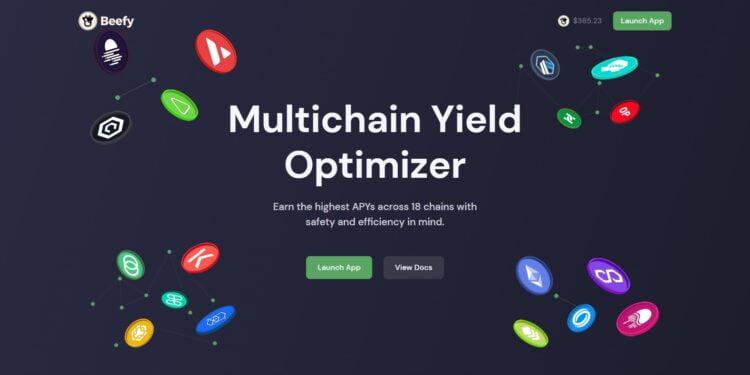 Beefy Finance (BIFI) Review : Is It Good Or Bad Coin Read Our Article