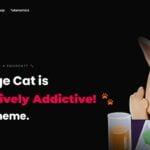 Smudge Cat(MOCHI) Review : Is It Good Or Bad Coin Read Our Article