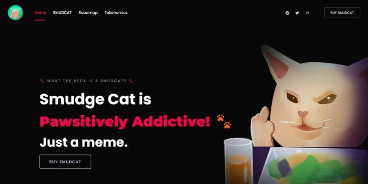 Smudge Cat(MOCHI) Review : Is It Good Or Bad Coin Read Our Article