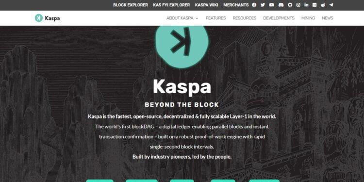 7 Best Kaspa Wallets To Store Kas Coin In 2023
