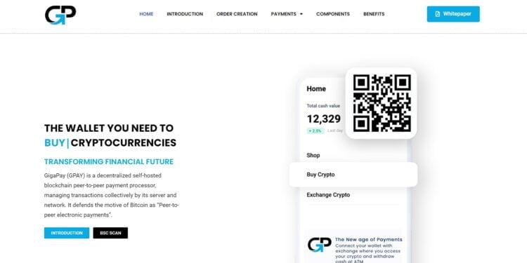GIGAPAY (GPAY) Review : Is It Good Or Bad Coin Read Our Article