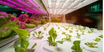 10 Best Places to Spend IOTA Tokens 