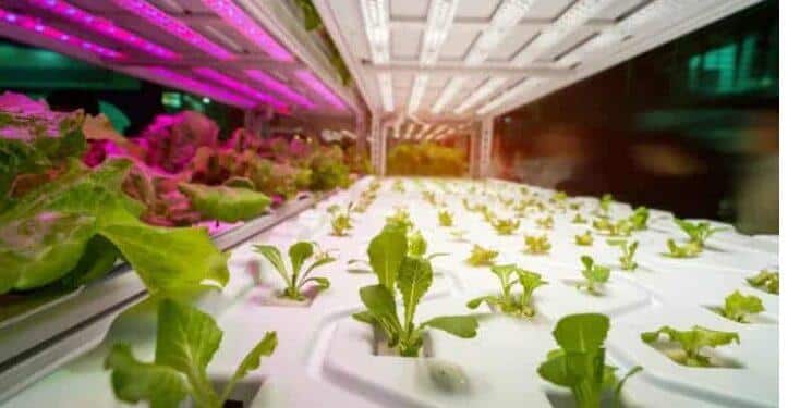 10 Best Places to Spend IOTA Tokens 