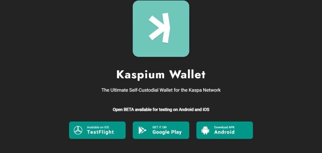  Kaspium (Best Kaspa Wallets To Store Kas Coin)