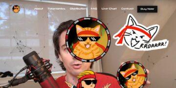 DumbMoney (GME) Review : Is It Good Or Bad Coin Read Our Article