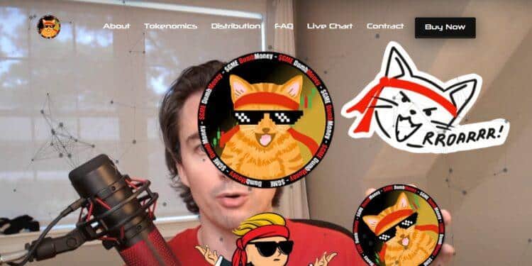 DumbMoney (GME) Review : Is It Good Or Bad Coin Read Our Article