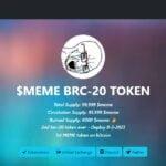 How To Buy MEME Coin With Paypal 