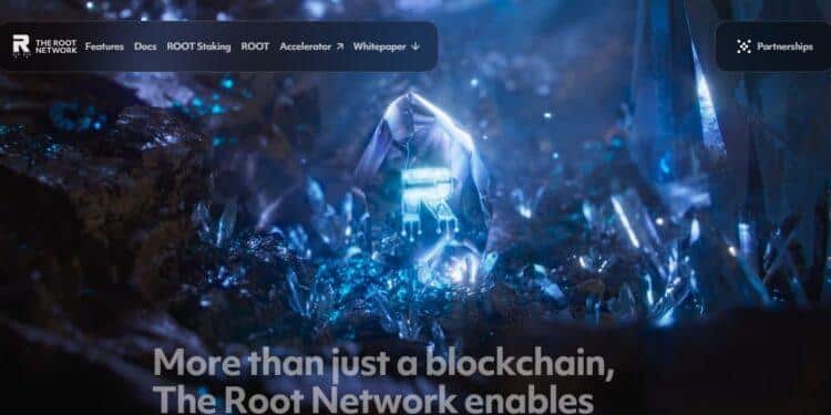 The Root Network (ROOT) Review : Is It Good Or Bad Coin Read Our Article