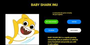 BABY SHARK INU Review : Is It Good Or Bad Coin Read Our Article