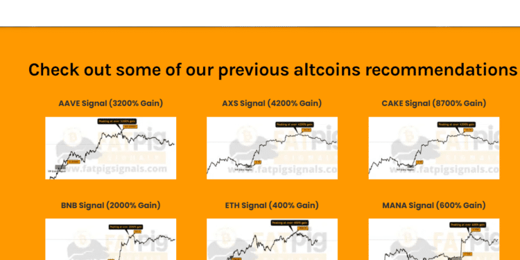 30 Best Crypto Signals Telegram