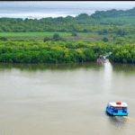 30 Best Places To Visit in Goa