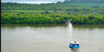 30 Best Places To Visit in Goa