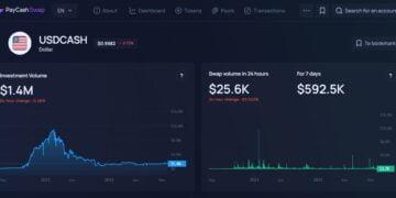 USDCASH (USDCASH) Review : Is It Good Or Bad Coin Read Our Article