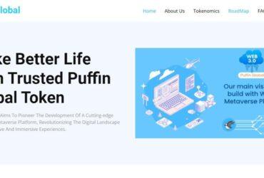 Puffin Global (PUFFIN) Review : Is It Good Or Bad Coin Read Our Article