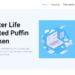 Puffin Global (PUFFIN) Review : Is It Good Or Bad Coin Read Our Article
