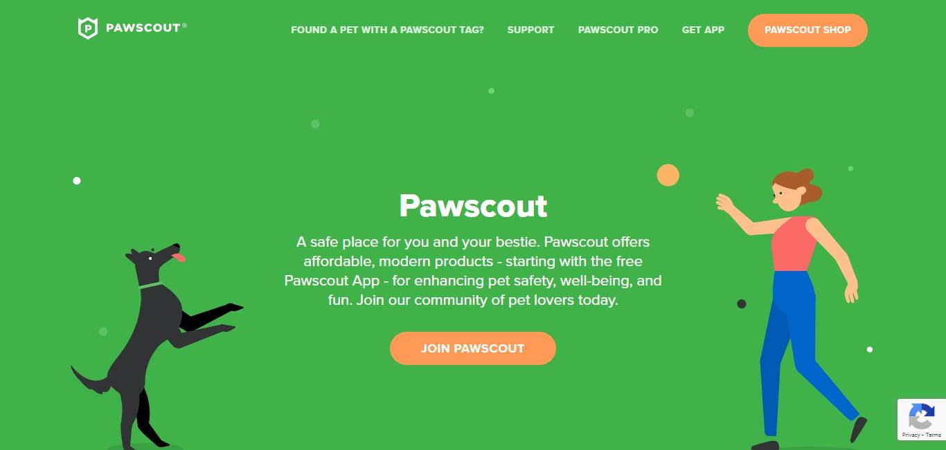 27.Pawscout