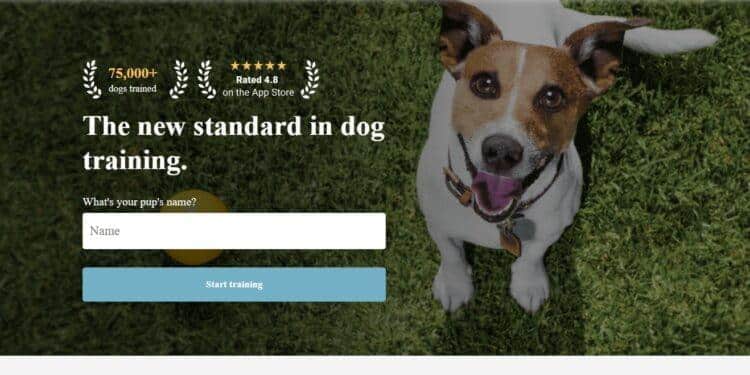 30 Best Apps for Dog Owners In 2024