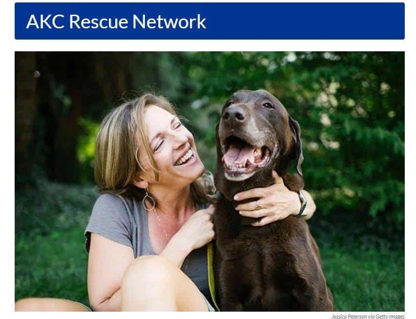 AKC Rescue Network