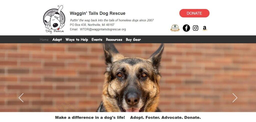 Waggin' Tails Animal Rescue 