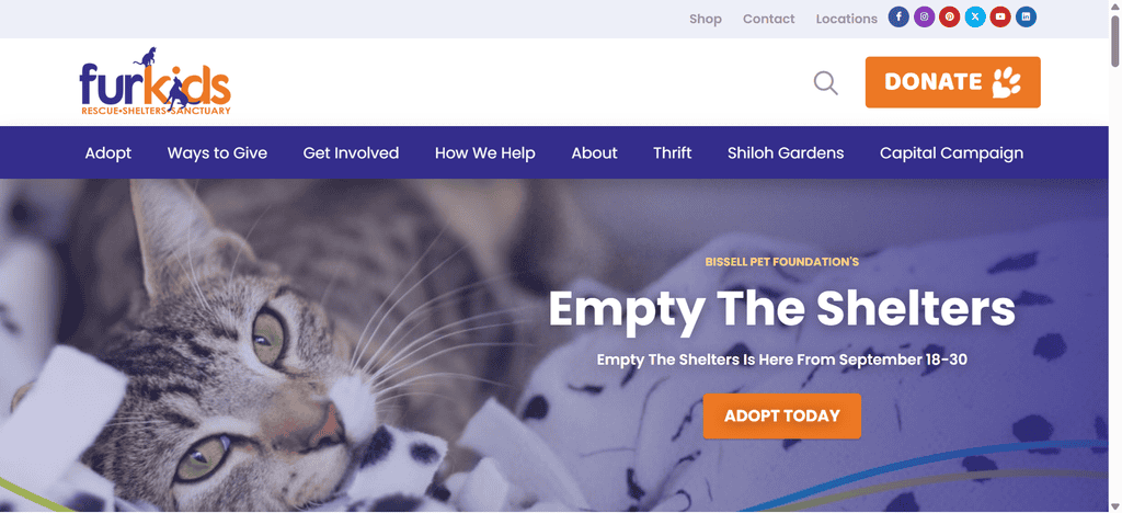 Furkids Animal Rescue and Shelters