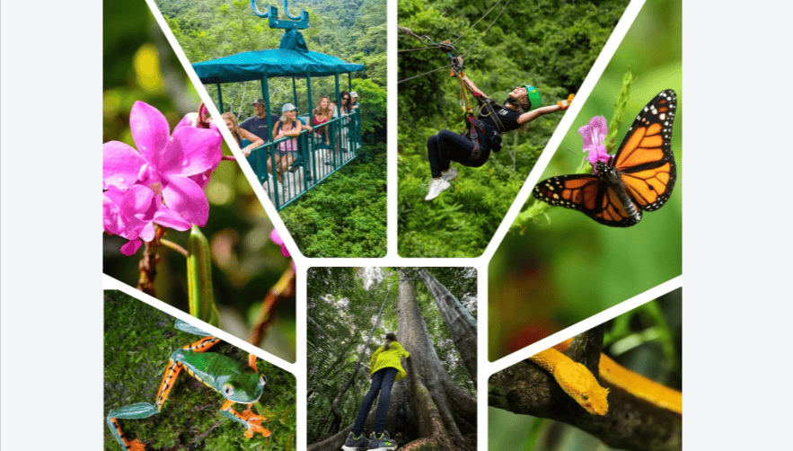 Costa Rica Rainforest Adventure