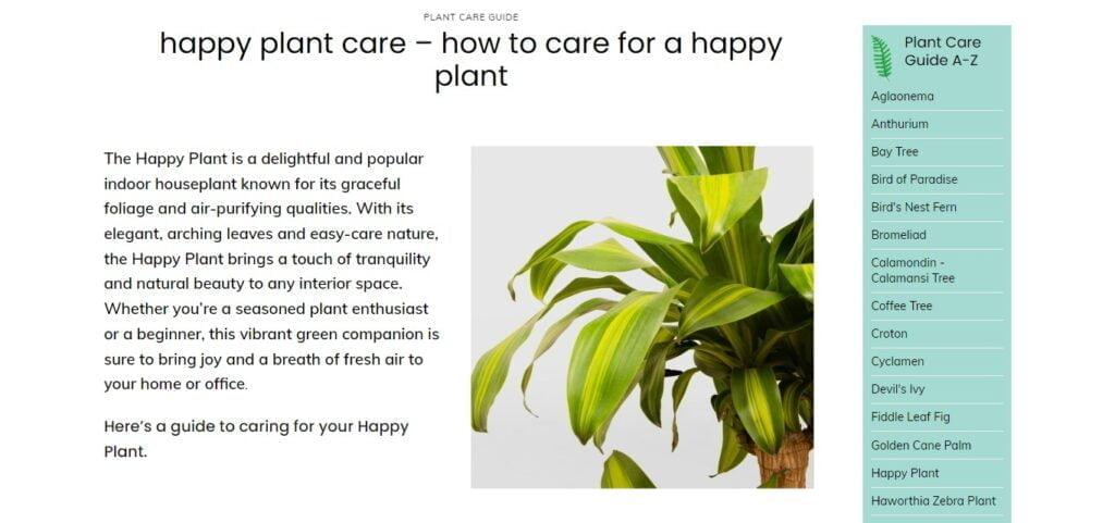 Happy Plant