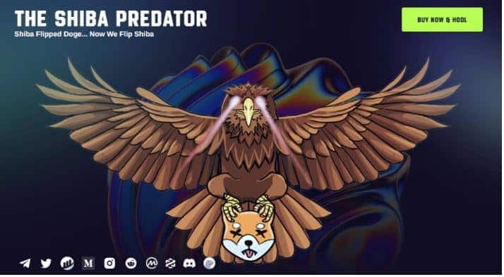 Shiba Predator
