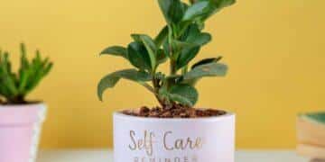 30 Best Plant Care App