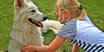 10 Best Pet Companies to work for