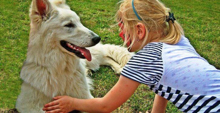 10 Best Pet Companies to work for