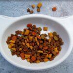 20 Best Dog Food For Sensitive Stomach